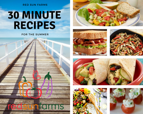 30-Minute Summer Meals